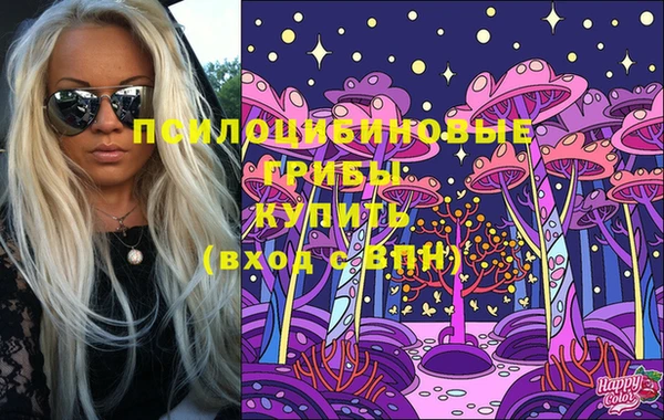 спиды Алексеевка