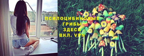 спиды Алексеевка