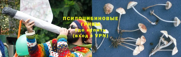 сатива Алзамай